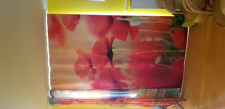 Ewa, Wrocław Ewa, Wrocław