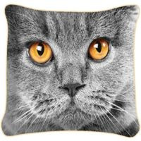 Poduszka ozdobna KOT SASZA