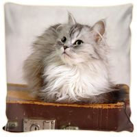 Poduszka ozdobna puszysty kotek