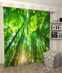 Zasłona gotowa oświetlony zielony las
