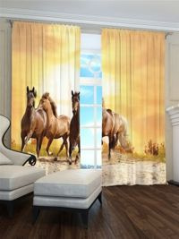 Zasłona gotowa Tabun koni