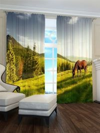 Zasłona gotowa Koń na polanie