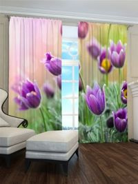 Zasłona gotowa Sasanki