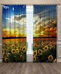 Zasłona Gotowa Pole Słoneczników