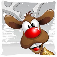 Poduszka ozdobna Rudolf i jego Pan 25