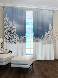 Zasłona polarne święta