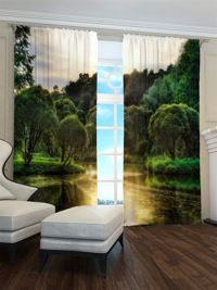 Zasłona Gotowa Drzewa nad rzeką