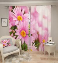 Zasłona gotowa Astry jesienne