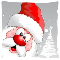 Poduszka ozdobna Rudolf i jego Pan 24