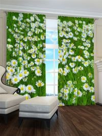 Zasłona gotowa Pole stokrotek