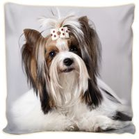 Poduszka ozdobna Radosny piesek