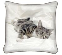 Poduszka ozdobna ŚPIĄCY KOTEK