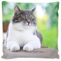 Poduszka ozdobna  Leniwy kot