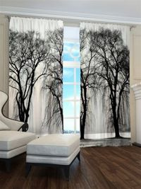 Zasłona Gotowa Zimowa mgła