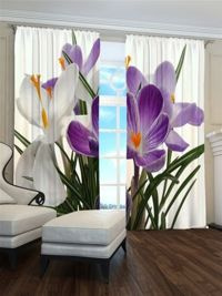 Zasłona gotowa Krokusy