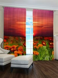 Zasłona Zachód słońca w polu