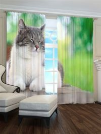 Zasłona Gotowa leniwy kot