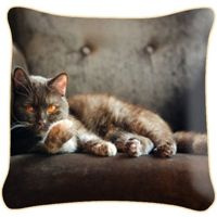 Poduszka ozdobna KOT PODUSZKOWIEC