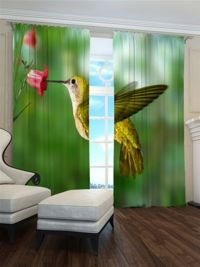 Zasłona gotowa Koliber