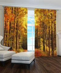 Zasłona gotowa Park jesienią