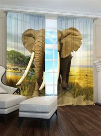Zasłona gotowa Słoń afrykański