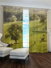 Zasłona gotowa Pastwisko