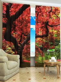 Zasłona gotowa Jesienne drzewo