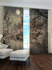 Zasłona Księżyc nad zimowym lasem 