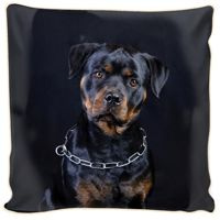 Poduszka ozdobna rottweiler