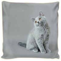 Poduszka ozdobna szary kotek