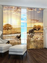 Zasłona gotowa Zachód słońca na Sawannie