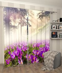 Zasłona gotowa oświetlony Pole krokusów