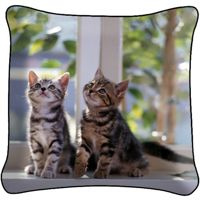 Poduszka ozdobna KOTKI