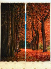 Zasłona Gotowa JESIENNA ALEJA