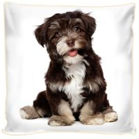 Poduszka ozdobna Piesek