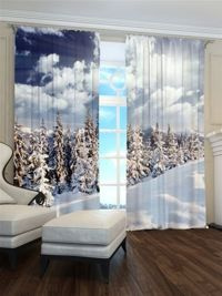 Zasłona las w śniegu