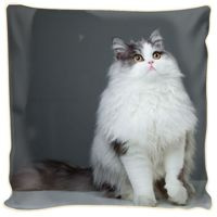 Poduszka ozdobna ciekawski kot