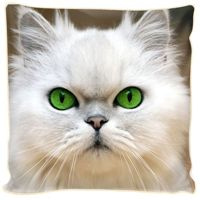Poduszka ozdobna zielonooki kotek