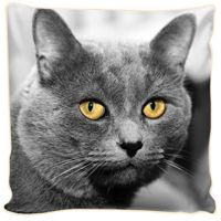 Poduszka ozdobna  KOT Saszeńka