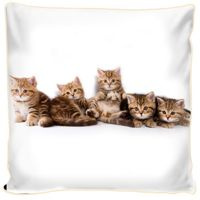 Poduszka ozdobna  Małe kotki