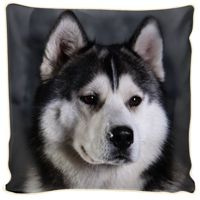 Poduszka ozdobna Husky