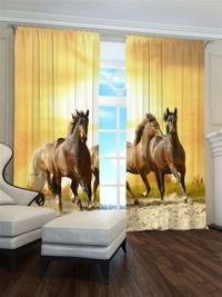 Zasłona gotowa Konie na piasku