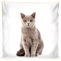 Poduszka ozdobna beżowy kotek